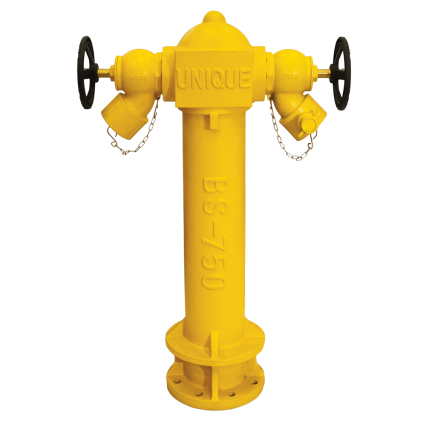 2-Way Fire Hydrant with Landing Valve